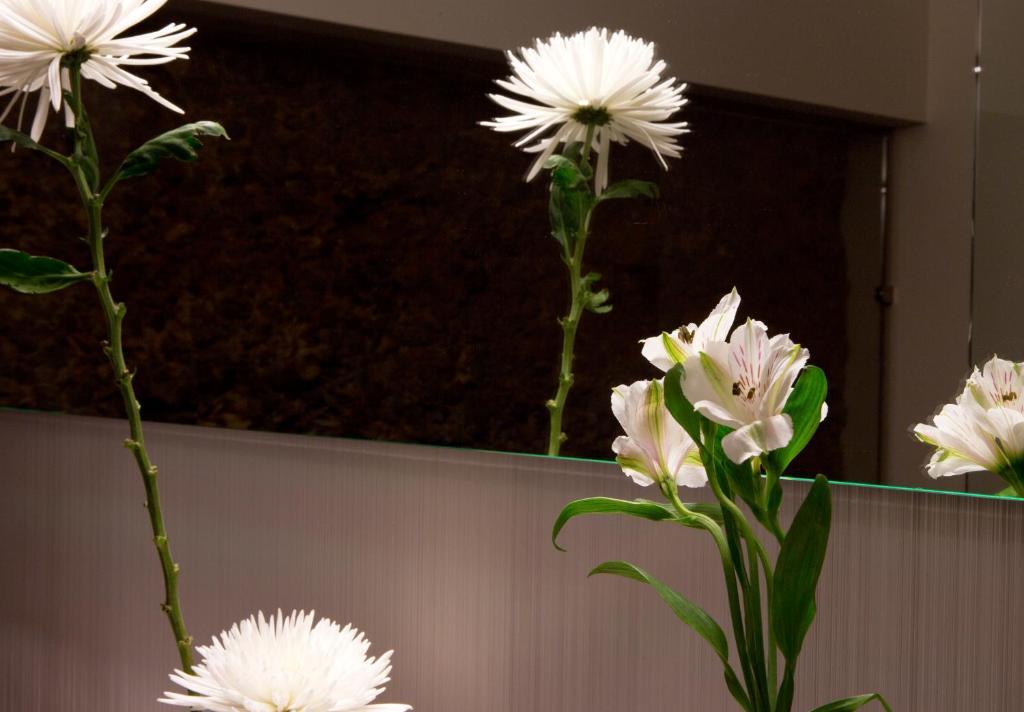 Suite,690682287:JPEG