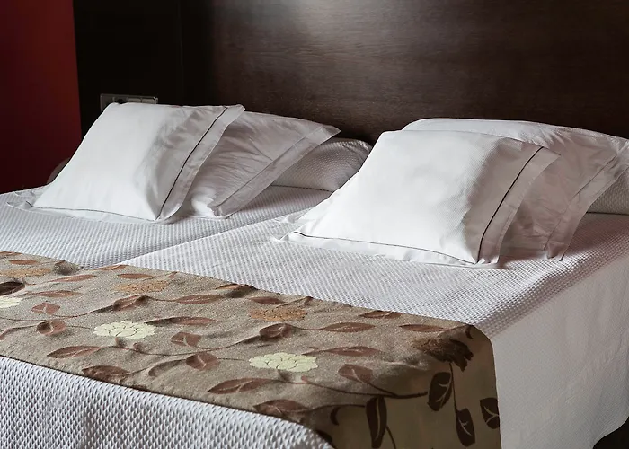 Hotel que admite mascotas: Hotel Pintor El Greco